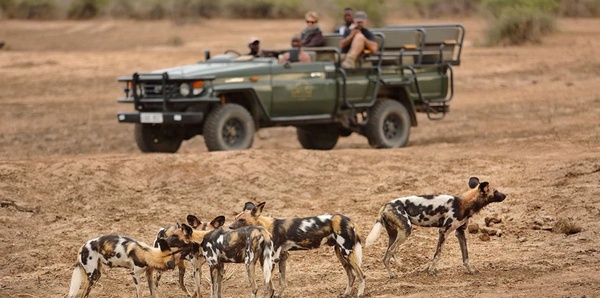 Zambezi to Luangwa: A Wild Odyssey Tours and luxury holiday experience